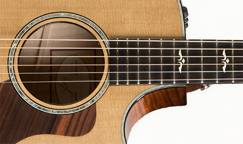Closeup view of the Taylor 614CE.