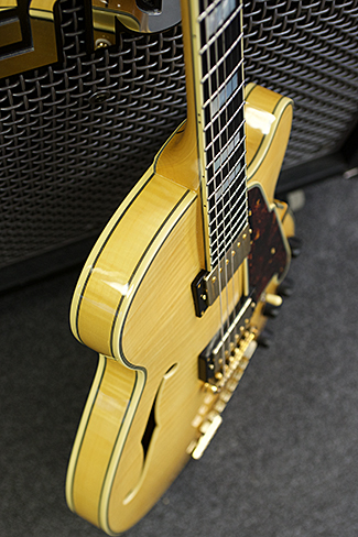 D'angelico Profile View