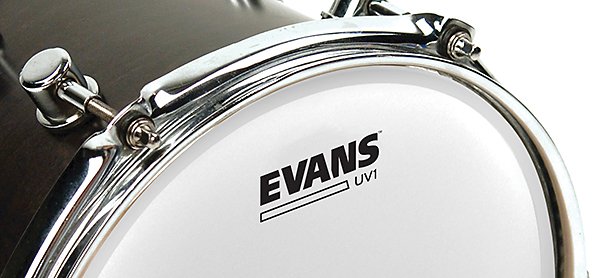 Evans UV1 Coated Drum Head Renewed 14 Inch 