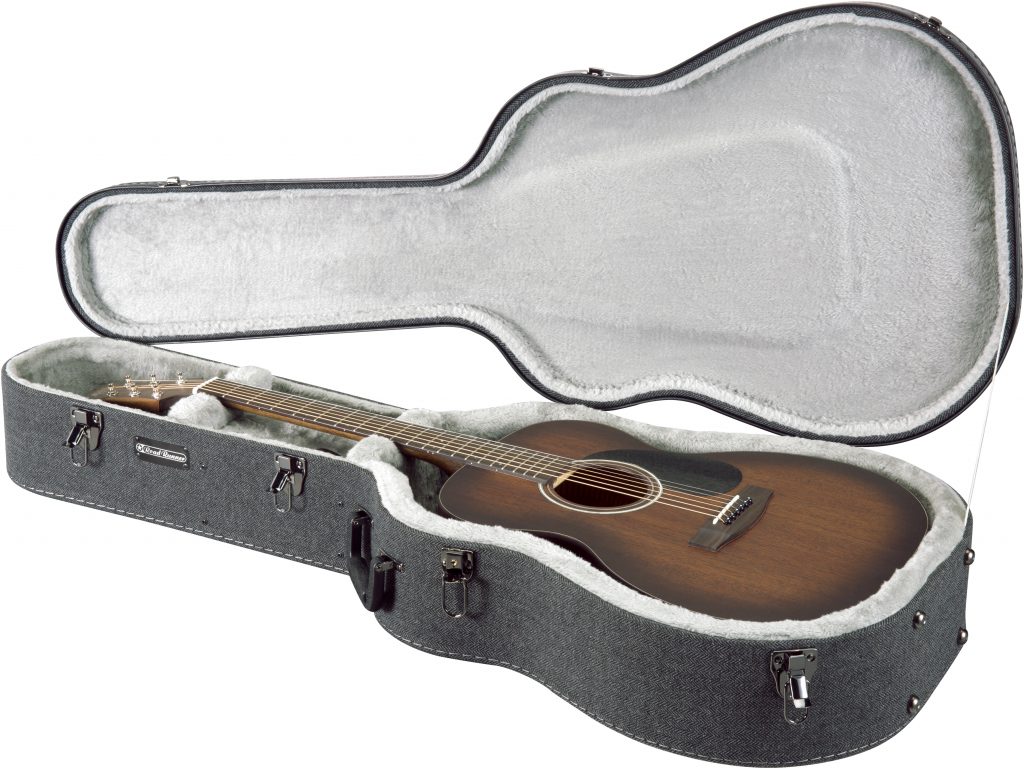 roadrunner acoustic case