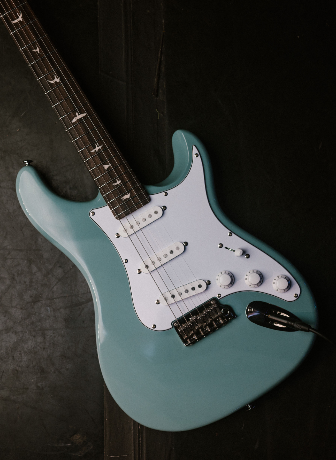 PRS Guitars and John Mayer Officially Introduce the Long-Awaited PRS SE  Silver Sky –